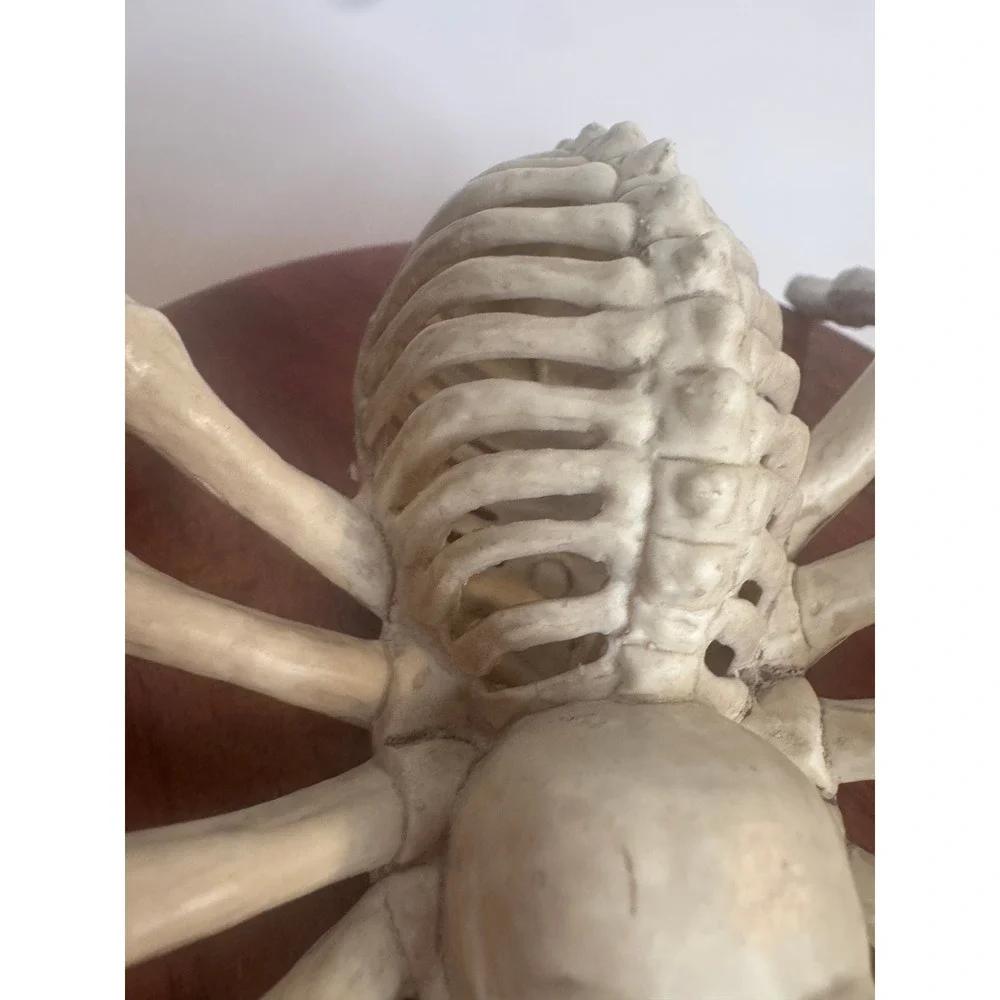Halloween Skeleton‎ Spider Lot of 4 Creepy Skeleton Spiders Spooky Decor